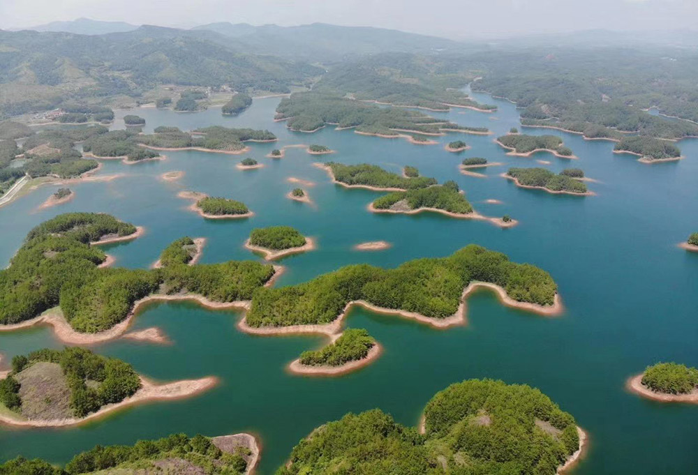 上新啦！广东再增1处国家重要湿地